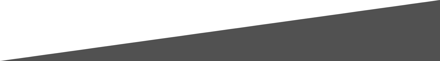 footer divider